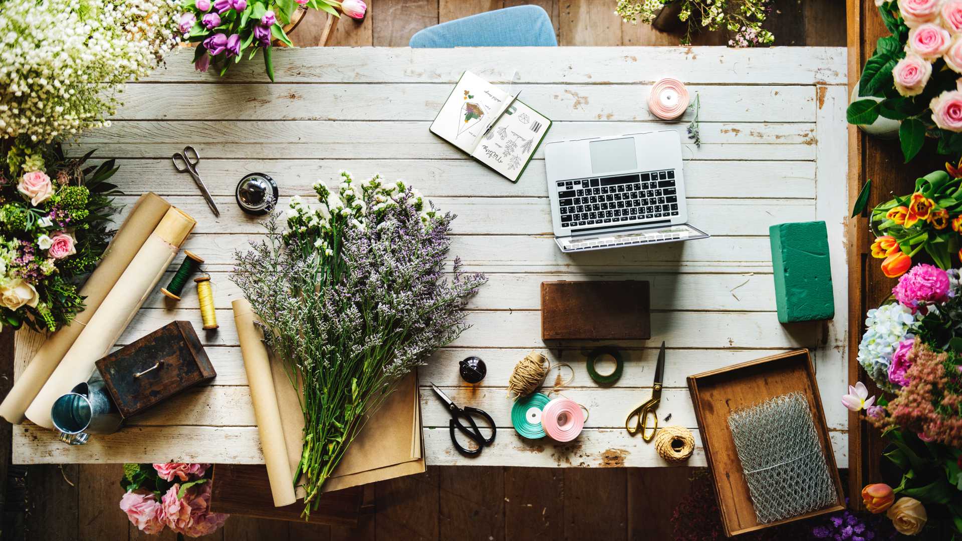 START-UP, CREATIVE OR TRADIE?