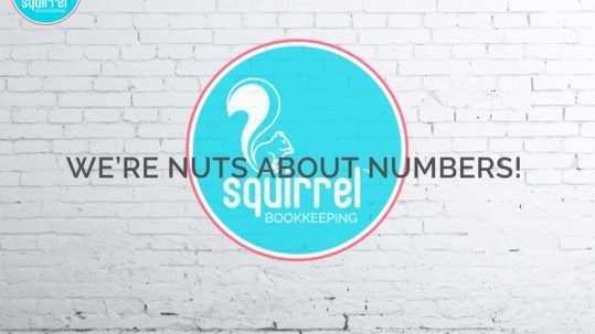 Squirrel Bookkeeping Website is Live!